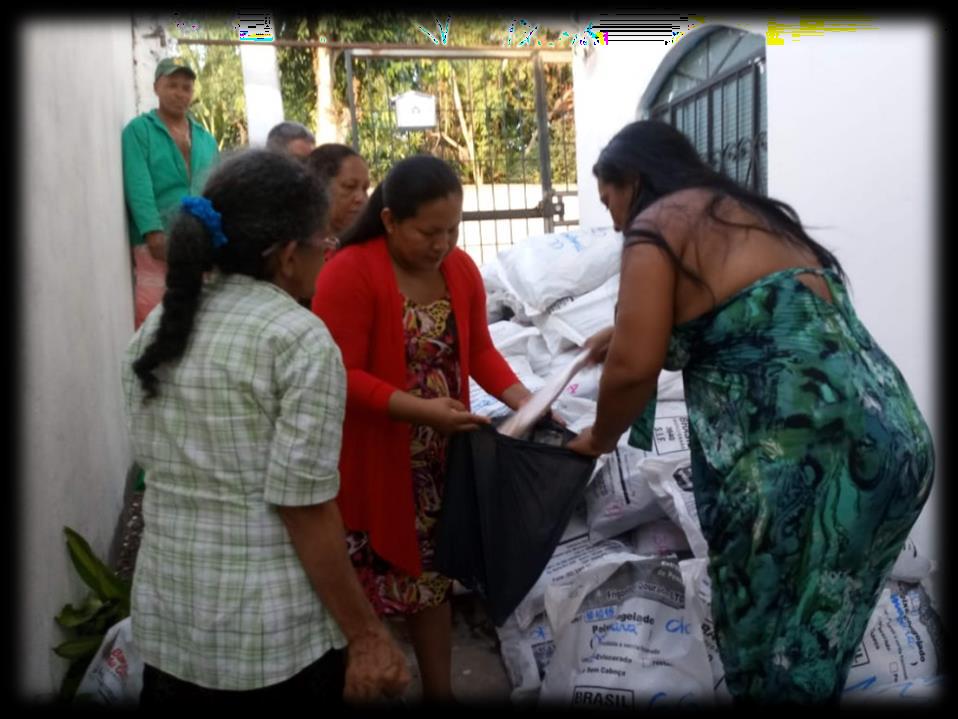 Doação de peixe — 26/10/2018 — foto 4